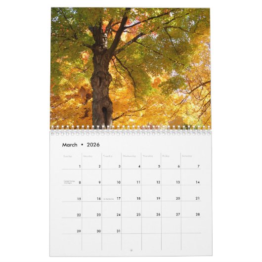 Natuur Reiskalender 10.000 Herfstbladeren Kalender (Mar 2026)