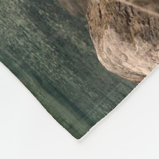 Natuur reizen - Landschap in het gebergte Fleece Deken (Hoek)