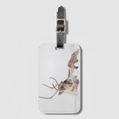 Natuur rendierfoto bagagelabel (Voorkant (verticaal))