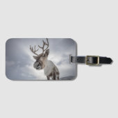 Natuur rendierfoto bagagelabel (Voorkant (horizontaal))