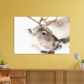 Natuur rendierfoto canvas afdruk (Insitu (Woonkamer))