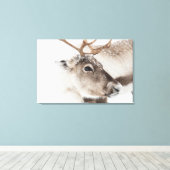 Natuur rendierfoto canvas afdruk (Insitu (Houten vloer))