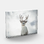 Natuur rendierfoto fotoblokken (Links)