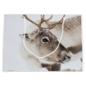 Natuur rendierfoto groot cadeauzakje (Voorkant)