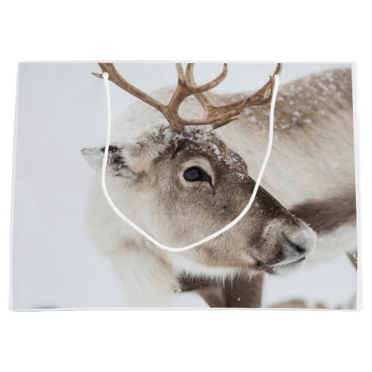 Natuur rendierfoto groot cadeauzakje (Voorkant)