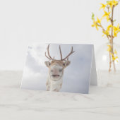 Natuur rendierfoto kaart (Gele Bloem)