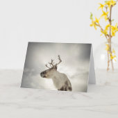 Natuur rendierfoto kaart (Gele Bloem)