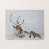 Natuur rendierfoto legpuzzel (Horizontaal)