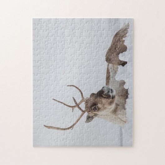 Natuur rendierfoto legpuzzel (Verticaal)