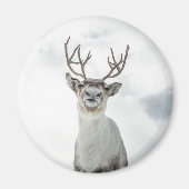 Natuur rendierfoto magneet (Voorkant)