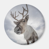 Natuur rendierfoto magneet (Voorkant)