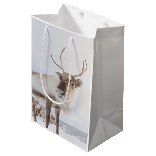 Natuur rendierfoto medium cadeauzakje (Voorkant Gekanteld)