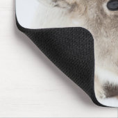 Natuur rendierfoto muismat (Hoek)