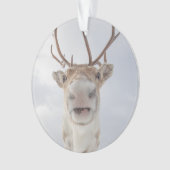 Natuur rendierfoto ornament (voorkant)