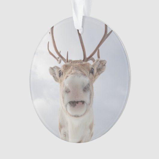 Natuur rendierfoto ornament (voorkant)
