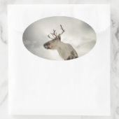 Natuur rendierfoto ovale sticker (Tas)