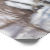 Natuur rendierfoto poster (Hoek)