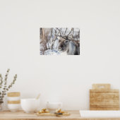 Natuur rendierfoto poster (Keuken)