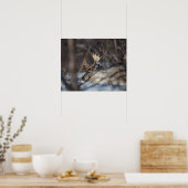 Natuur rendierfoto poster (Keuken)