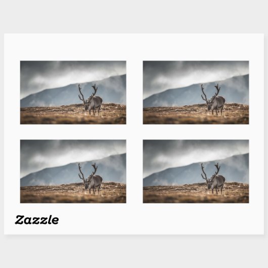 Natuur rendierfoto rechthoekige sticker (Vel)