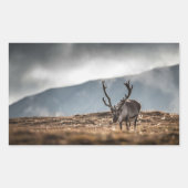 Natuur rendierfoto rechthoekige sticker (Voorkant)