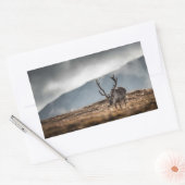 Natuur rendierfoto rechthoekige sticker (Envelop)