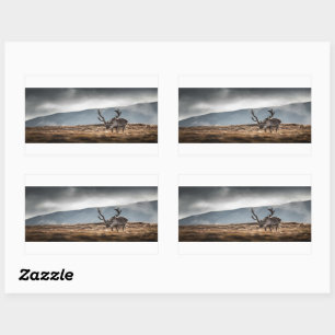 Natuur rendierfoto rechthoekige sticker