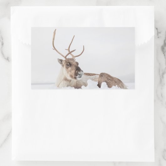 Natuur rendierfoto rechthoekige sticker (Tas)