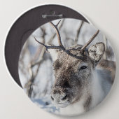 Natuur rendierfoto ronde button 6,0 cm (Voorkant /achterkant)