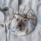 Natuur rendierfoto ronde button 6,0 cm (In situ)