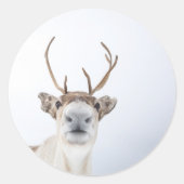 Natuur rendierfoto ronde sticker (Voorkant)