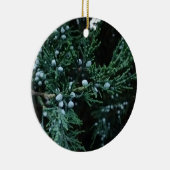 Natuur Rijpende Jeneverbessen Keramisch Ornament (Rechts)