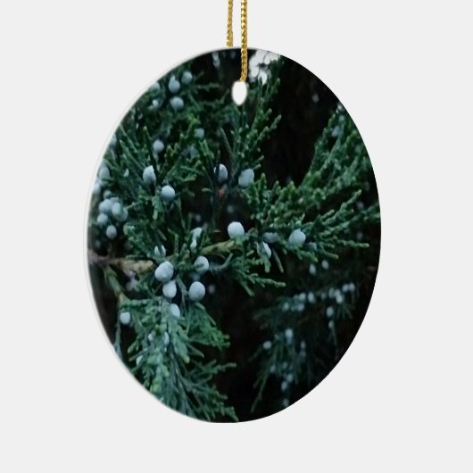 Natuur Rijpende Jeneverbessen Keramisch Ornament (Rechts)