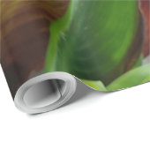 Natuur Rode Bloem Fotografie Cadeaupapier (Rol Hoek)