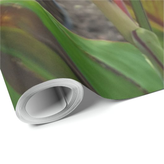 Natuur Rode Bloem Fotografie Cadeaupapier (Rol Hoek)