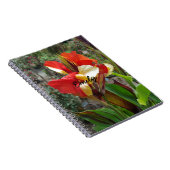 Natuur Rode Bloem Fotografie Notitieboek (Rechterzijde)