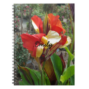 Natuur Rode Bloem Fotografie Notitieboek