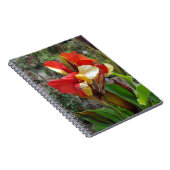 Natuur Rode Bloem Fotografie Notitieboek (Rechterzijde)