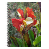 Natuur Rode Bloem Fotografie Notitieboek (Voorkant)