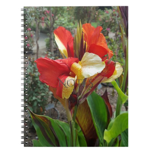 Natuur Rode Bloem Fotografie Notitieboek (Voorkant)