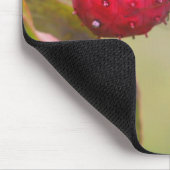 Natuur rode dragonfly muismat (Hoek)