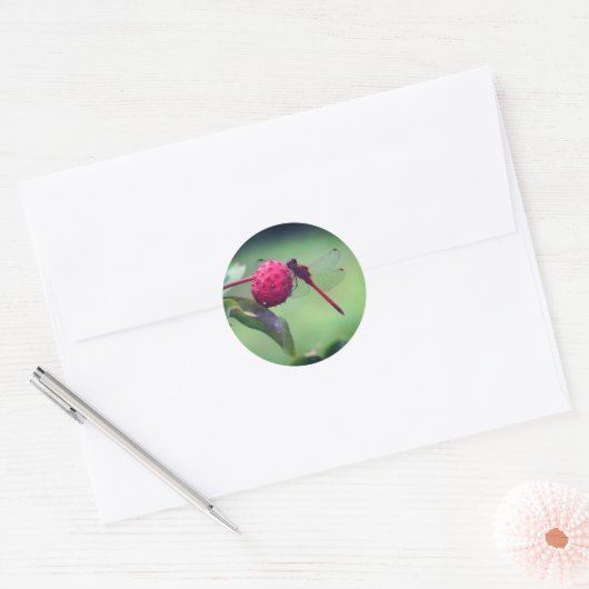 Natuur rode dragonfly ronde sticker (Envelop)
