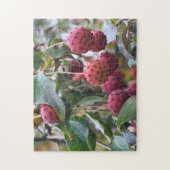 Natuur rode duoghoutvruchten legpuzzel (Verticaal)