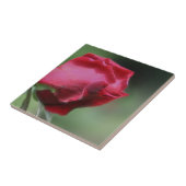 Natuur rode rosebud-ventilator tegeltje (Zijkant)