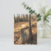 Natuur roept briefkaart (Staand voorkant)