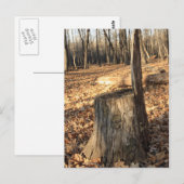 Natuur roept briefkaart (Voorkant / Achterkant)