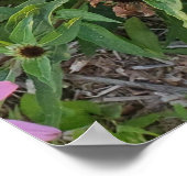 Natuur roze en gele kloonbloemen Fotografie Poster (Hoek)