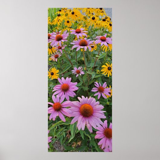 Natuur roze en gele kloonbloemen Fotografie Poster (Voorkant)