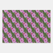 Natuur roze kosmos Flowers Patroon Inpakpapier Vel (Voorkant 2)