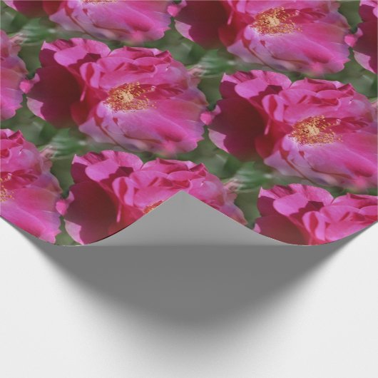 Natuur roze roze bloem cadeaupapier (Hoek)